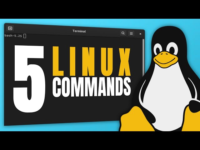 5 Linux Commands Every Beginner Should Know