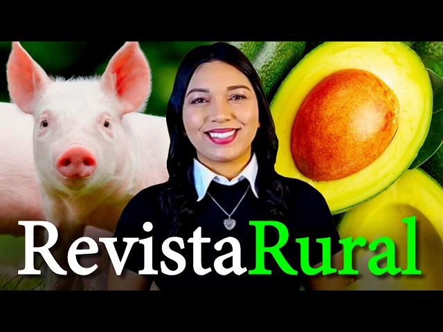 PROGRAMA REVISTA RURAL - 08/02/2026
