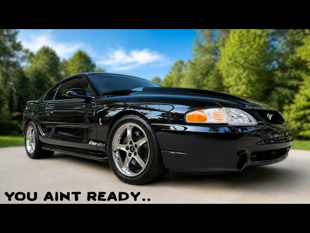 SN95 Mustangs are The HONEY BADGERS Of The Car World...