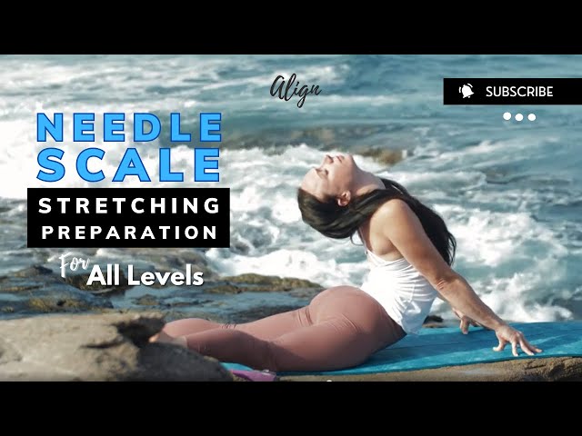 Needle scale stretching preparation for all levels