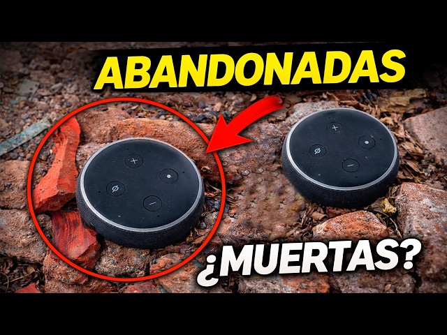Casi tiran las ALEXAS pero alcance a repararlas!