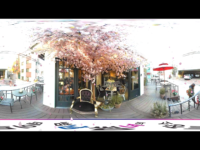 홍대 플라워카페 러빈허(플로르떼) 360도 VR영상으로 둘러보기