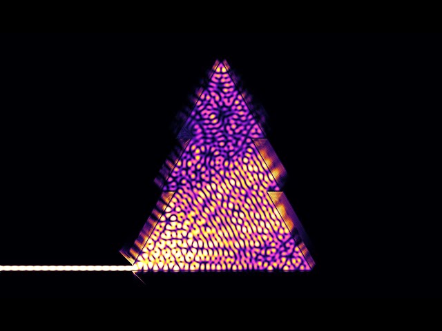 Lighting the Christmas tree