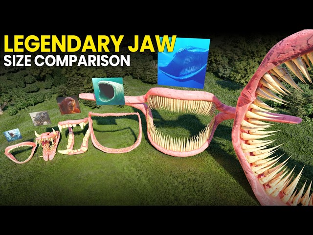 Legendary Animals vs Monsters Jaw Size & Teeth Comparison