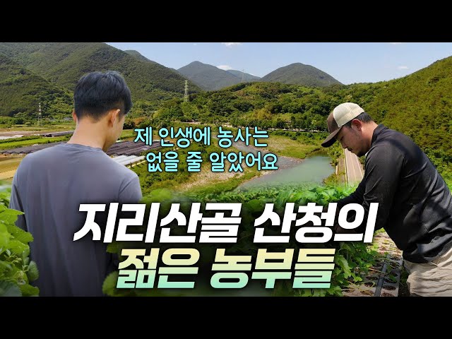 Jirisan Cheonwangbong is in Sancheong? Young farmers in Jirisan villages [Rebooting the Era of th...