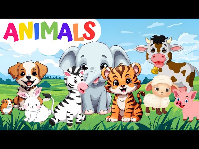 Wild Animals, Farm Animals, Pet Animals and Aquatic Animals for kids | Toddlers Educational Video