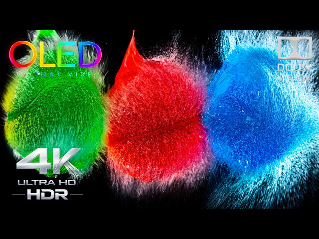 The Most Immersive 4K OLED Experience | 4K HDR 240FPS Dolby Vision (TV Test)