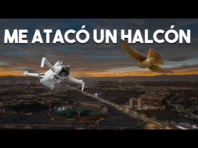 Eclipse Total 2024: Como logre hacer un Hyperlapse Viral con mi Mini 4 Pro -Crónica y Tutorial