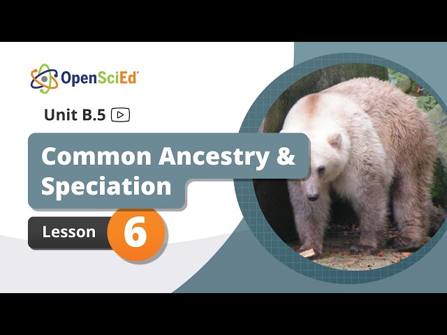 Unit B.5 Lesson 6 Planning Video | OpenSciEd On-Demand Resources