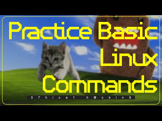 [ 37hica1 h@ckin9 ] 💻🐧 Practicing Basic Linux Command Via OTW Bandit WarGame 🎮🏴‍☠️