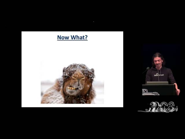 Netanel Rubin: The Perl Jam 2