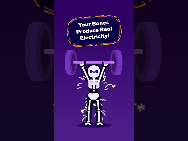 Your Skeleton Is Electric