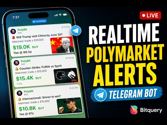 Polymarket Whale Alerts Telegram Bot (Full Python Tutorial)
