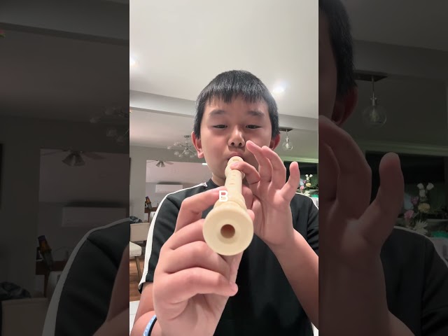 Ode to Joy Recorder Tutorial!