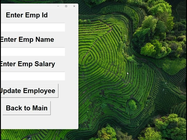Employee Management System (Python GUI)