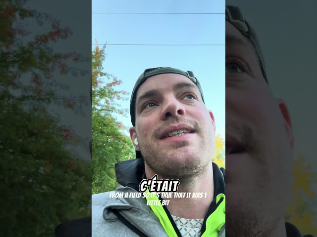 Angular - comment typer ses formulaire? Entre éviter les bugs et améliorer ta DX