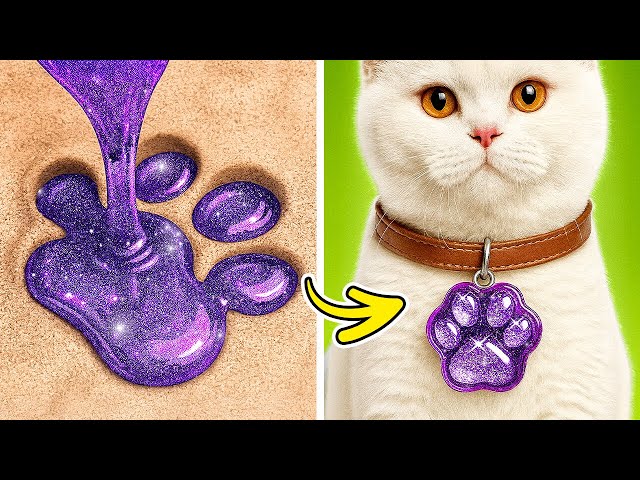 Crafting a Cute Collar 🐾🐱 & Building a Tiny Shelter for a Stray Cat! 🏠✨