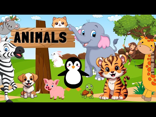 Wild Animals for kids, Pet Animals, Farm Animals, Guess the Animal  | Toddlers Educational Video