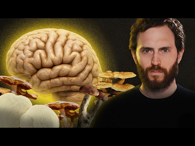 Melena de león, reishi, cordyceps: qué le hacen a tu cerebro