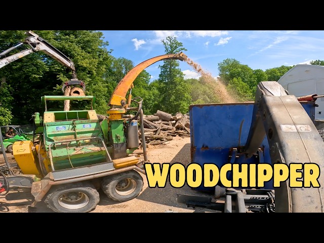 INSANE Wood Sorting Setup! Fendt 926 + Heizohack Eats Rotten Logs Like Snacks