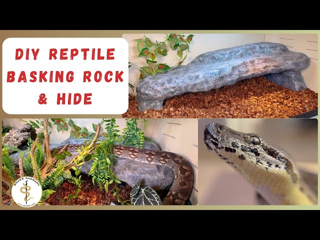 How to Make a Naturalistic Basking Rock And Reptile Hide!