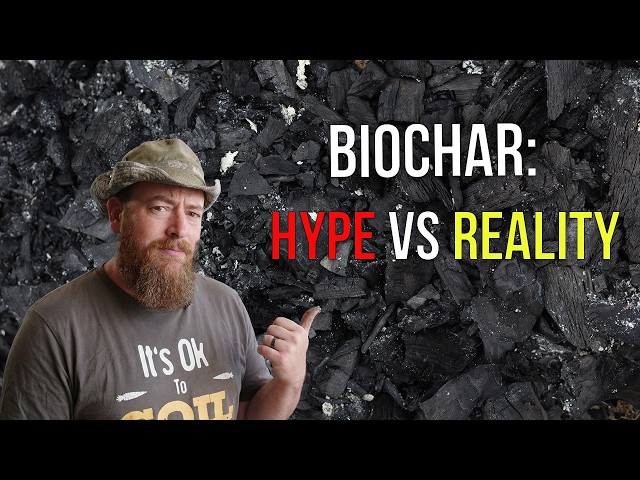 The Truth About Biochar: How to Use It Correctly (And What to Avoid)