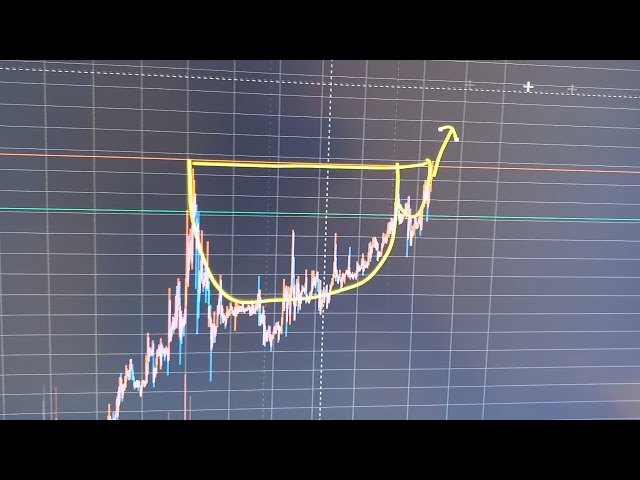보라코인 오늘이  가는날이가? 피카는 털자 차트 다망가졌다.