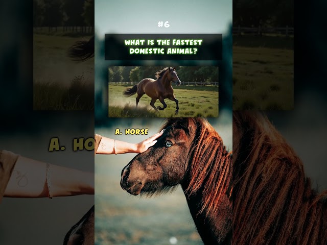 Fastest Animals on Earth! | Speed Quiz Challenge 🐆🐬#quiz #animalquiz