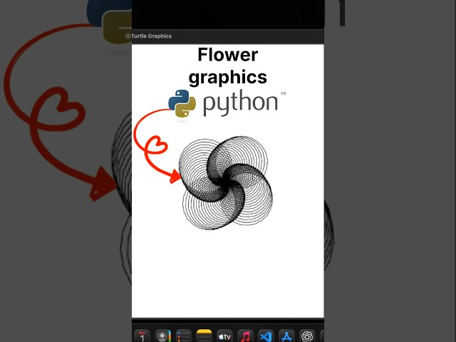 Flower graphics | Python