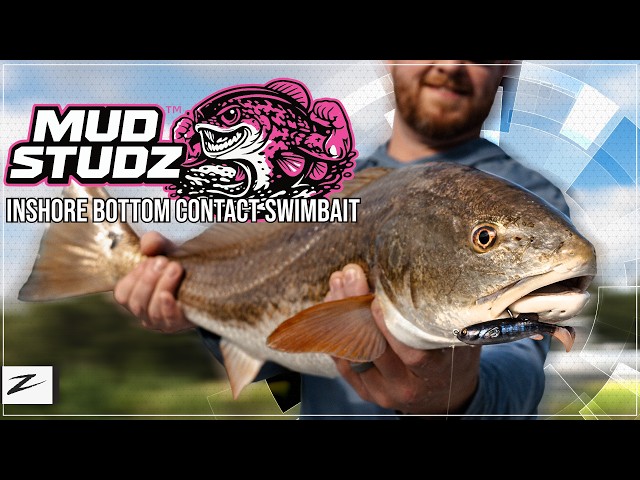 Conoce los MudStudZ | La imitación perfecta del Mud Minnow