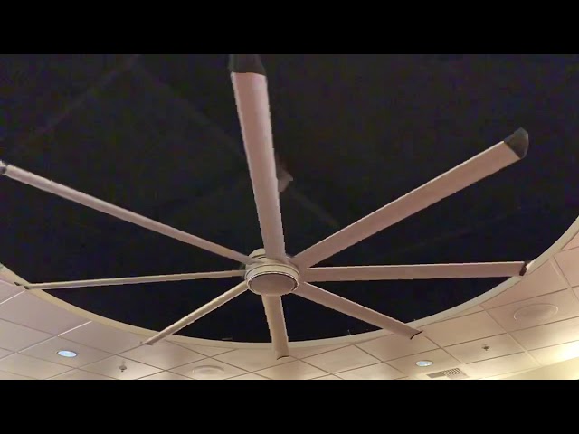 Unedited video of a fan