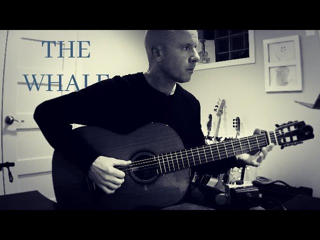 The Whale: Safe Return | Fingerstyle Guitar + TAB