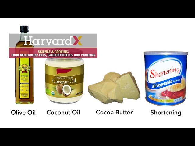 Food molecules: fats, carbohydrates, and proteins