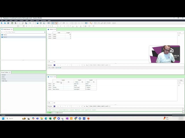 Learn Quantrix Modeler: Expression in Conditional Format for Field Length 0335