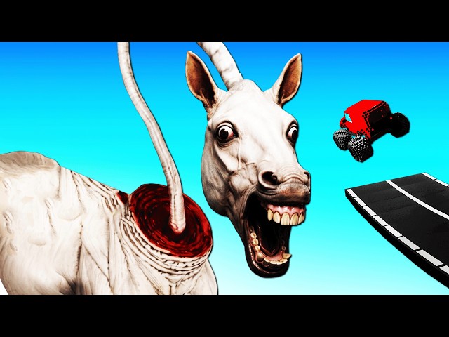 THE LONG HORSE vs CARS