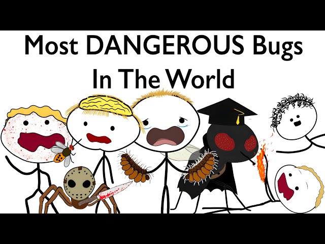 Most DANGEROUS Bugs In The World