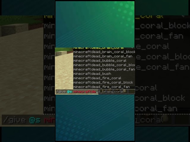 How to get a debug stick in Minecraft #minecraft #java #commands