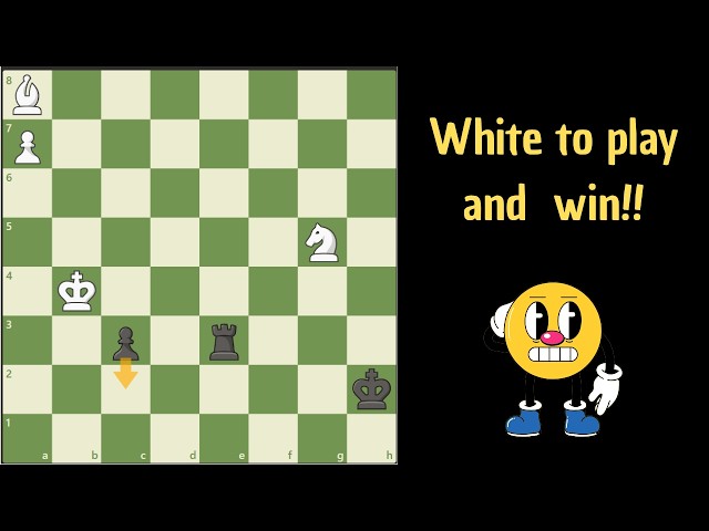 Here comes a hard one!
