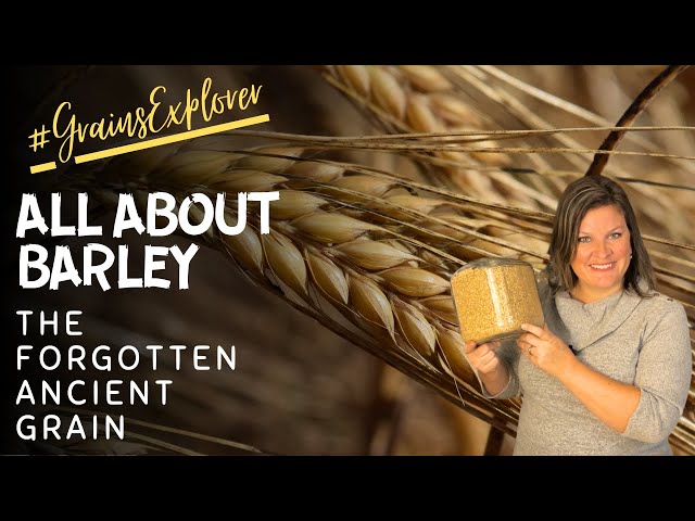 Let's Talk About Barley | January #GrainsExplorer | How to Use Barley | Is Barley Whole Grain?