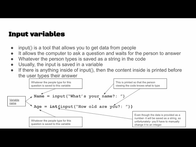 Programming for Python: Lists, Input, and Output