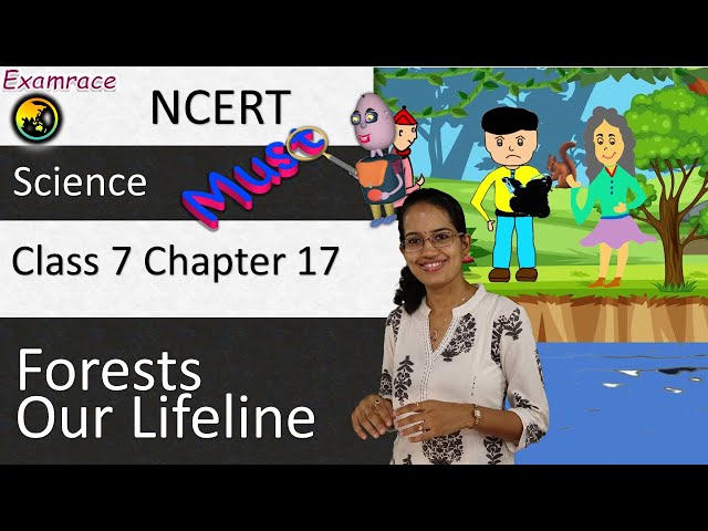 NCERT Class 7 Science Chapter 17: Forests: Our Lifeline (NSO/NSTSE) | English