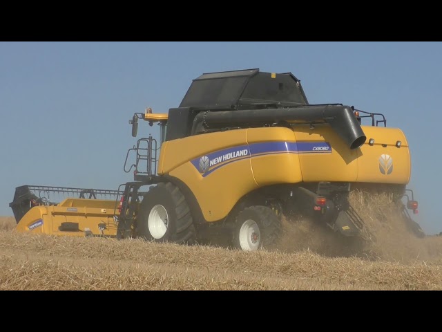 Harvest 2021 New Holland CX 8070 8080