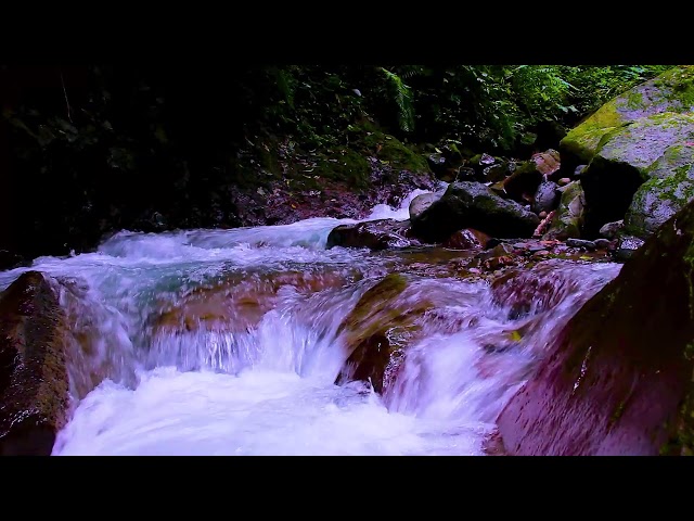 Nature Sleep Sounds | Pure River Water Flow for Deep Sleep, Relaxation and Peaceful Nights