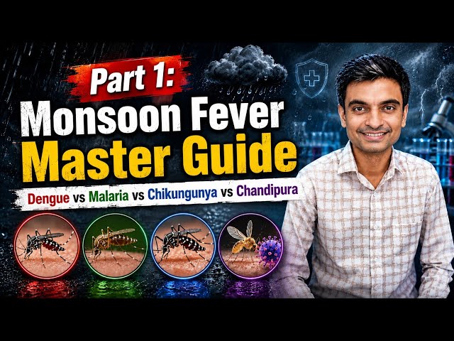 Dengue vs Malaria vs Chikungunya vs Chandipura | Monsoon Fever Master Guide