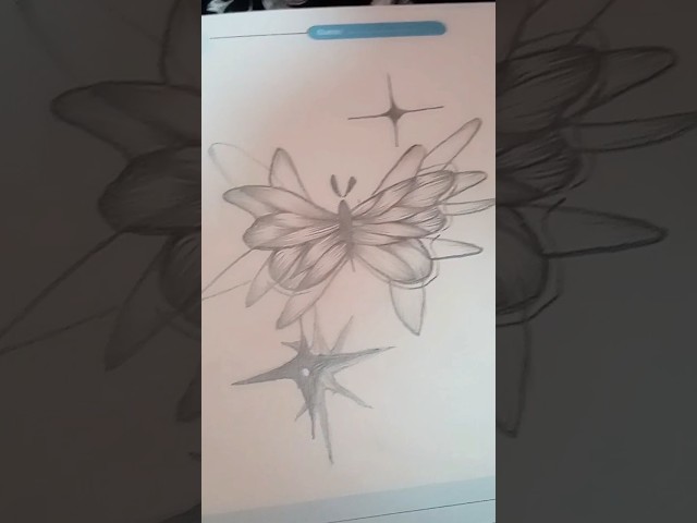 Butterfly Drawing Tutorial  #drawing #usa #howto #stepbystep