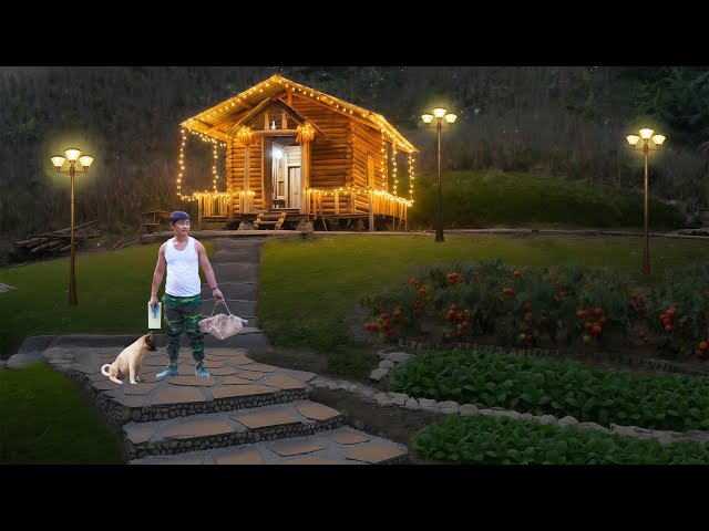 I Quit My CEO Life to For Jungle: Carving A Mountain Road & Installing Power Alone