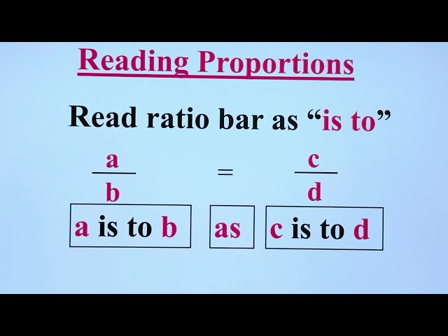 Understanding Proportions