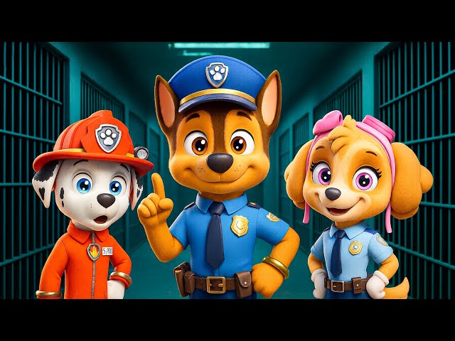 What Happenned? Ryder Spiderman Please Wake Up... Don't Leave Us! - Paw Patrol 3D Animation