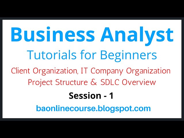 Business Analyst Tutorials for Bebinners | Client Organization | Project Structure | IT Company Org