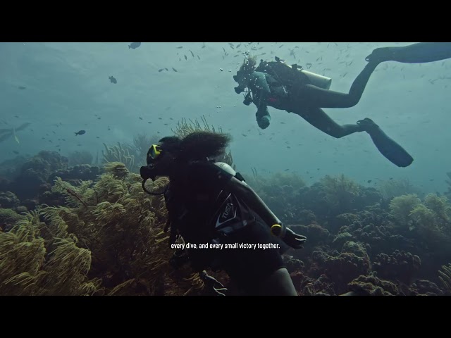 Celebrate PADI Women's Dive Day in Bonaire 💙🤿
